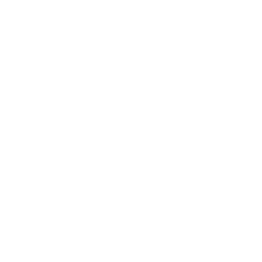 STEIN